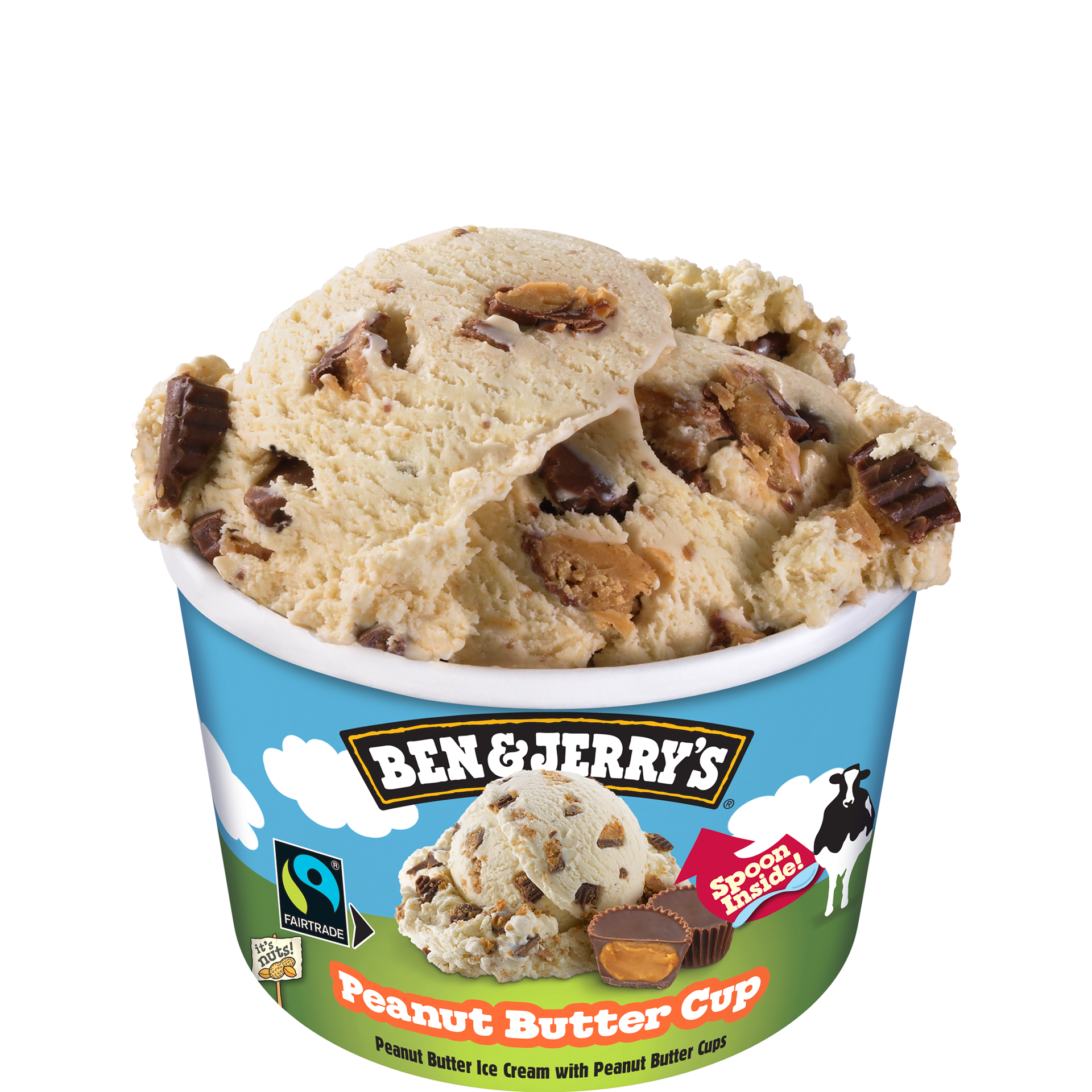 Peanut Butter Cup Original Ice Cream Mini Cup