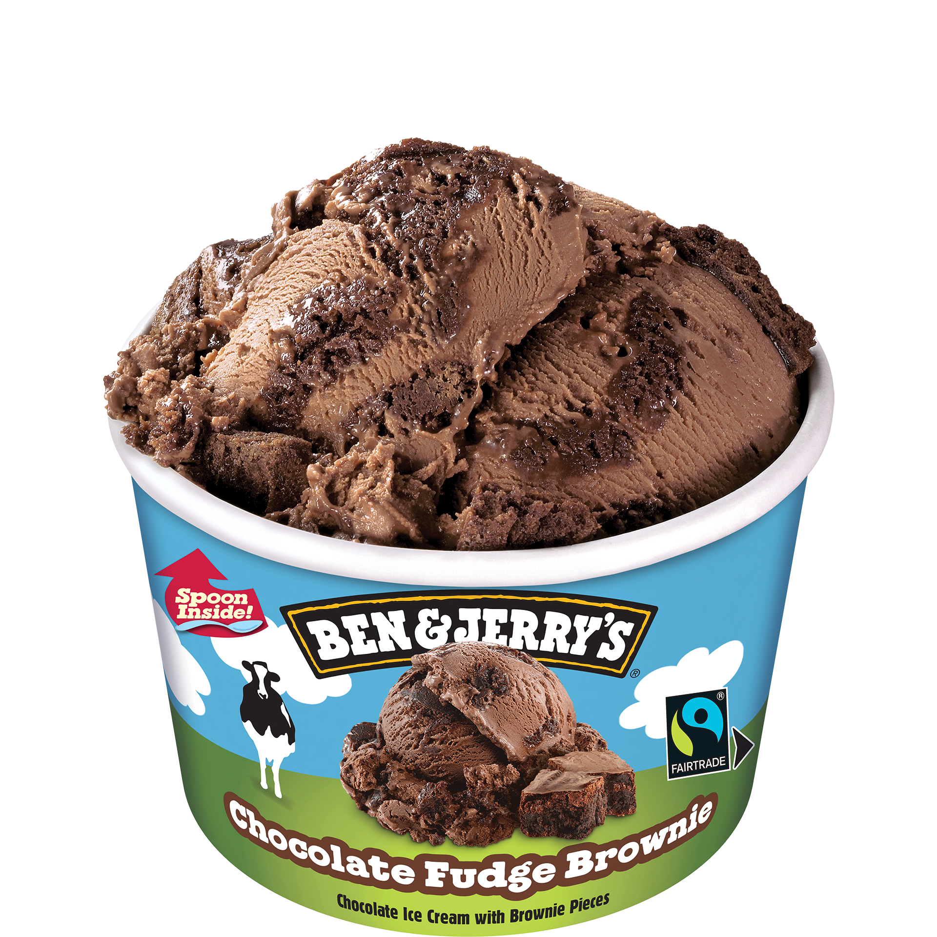 Chocolate Fudge Brownie Original Ice Cream Mini Cup